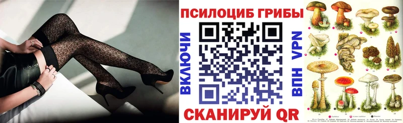 Галлюциногенные грибы GOLDEN TEACHER  где продают наркотики  Таштагол 